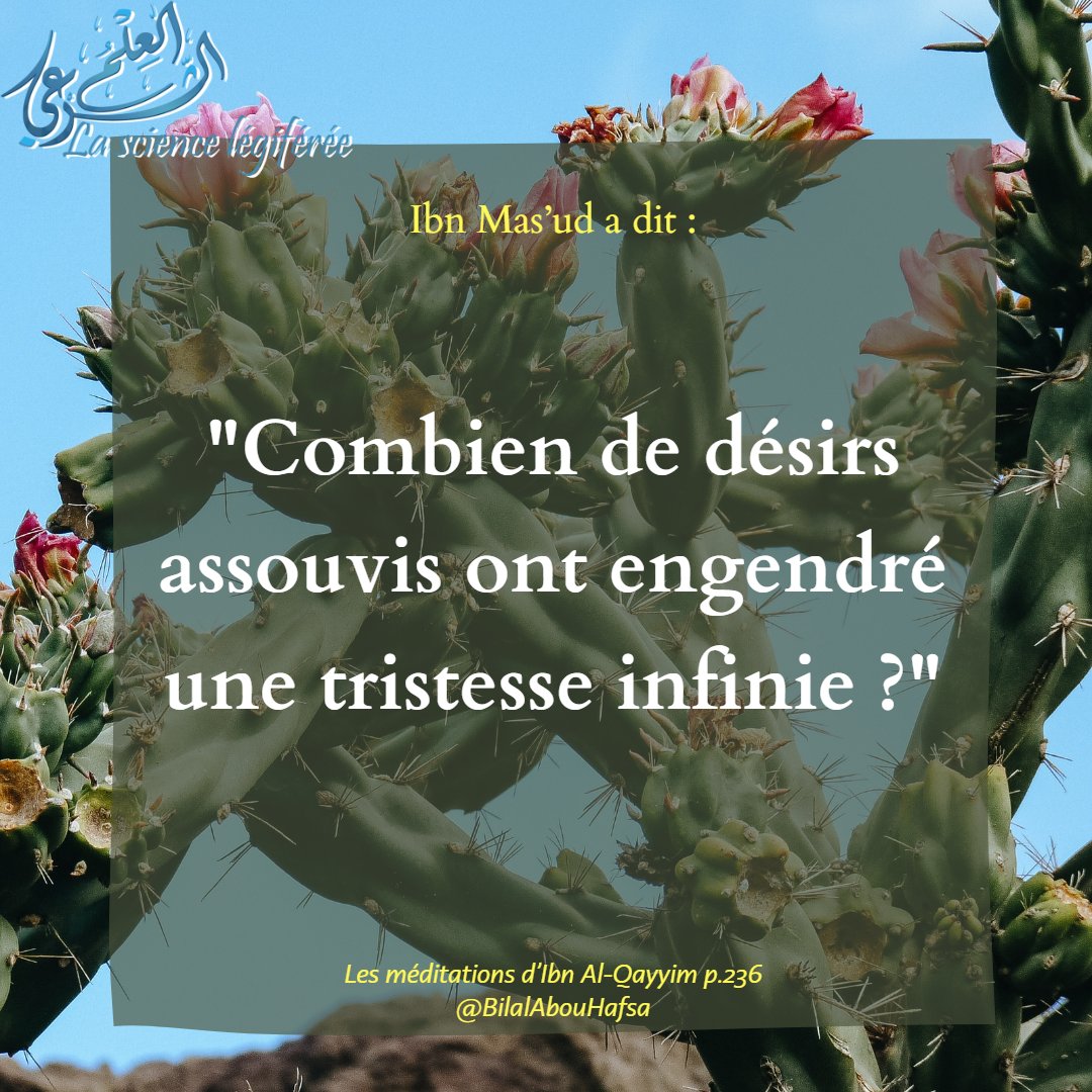 3ilmchar3i's tweet photo. 💧Une tristesse infinie https://t.co/vT1ckxyYBm