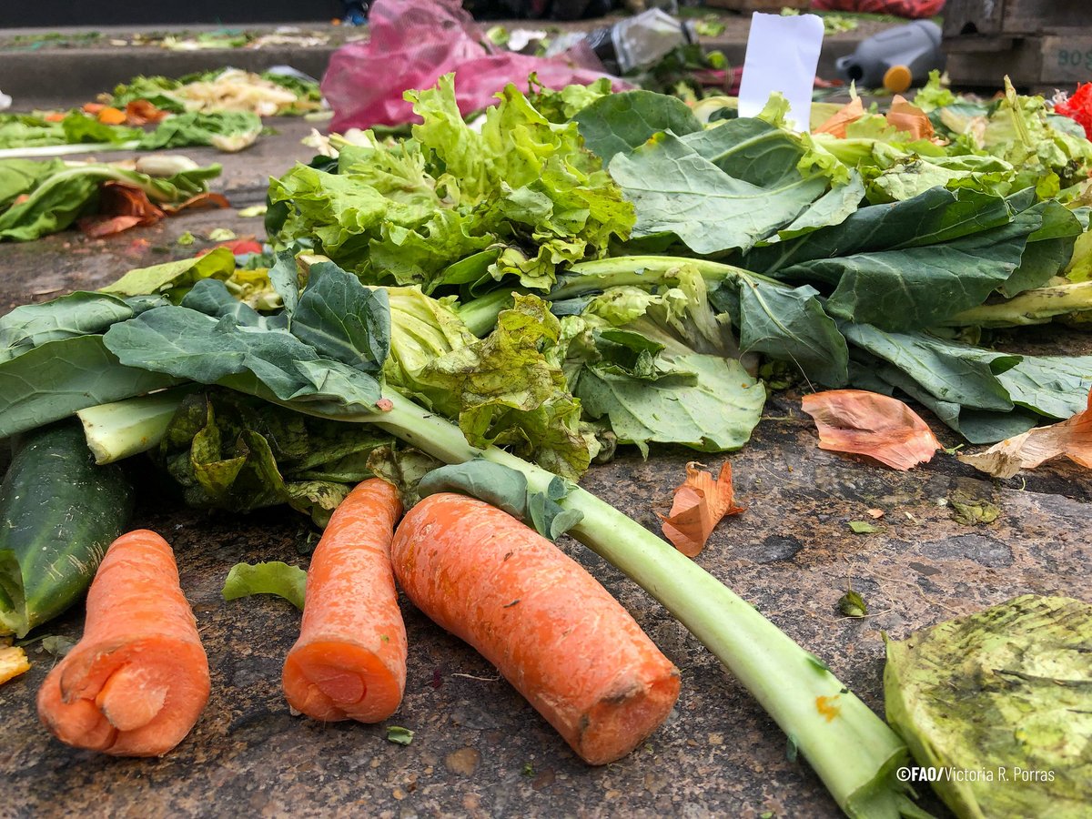 El 14% de la comida producida en el 🌎 se pierde tras la cosecha.

¿Sabes cómo evitar el #desperdicio? 👇

🍓Escoge frutas y verduras que se vean diferentes
🛒 Guarda de manera apropiada lo que compres
🥗 Come lo que tienes en casa antes de comprar más