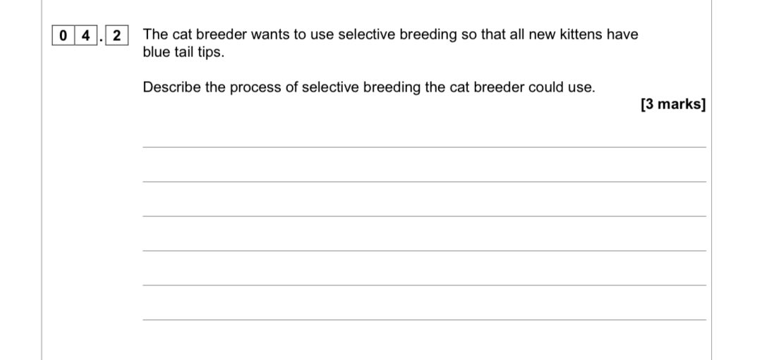 David Watkins tweet media