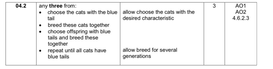 David Watkins tweet media