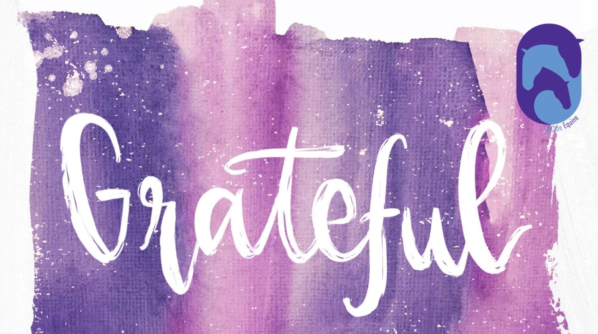 We are pioneering research and treatment for previously untreatable conditions in horses. Thank you to everyone who has already contributed - your donation saves lives! 💜  declue-equine.com
#equine #equineathletes #horsehealth