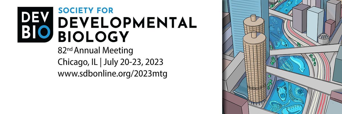 Victoria Prince (@lab_vprince) on Twitter photo I'm excited to announce that <a href="/InSDB_79/">Indian Society of Developmental Biologists</a> will be the official guest society of <a href="/SocDevBio/">Society for Developmental Biology</a> at the 2023 SDB meeting. Don't forget abstract submission closes April 10th sdbonline.org/2023mtg. I'm excited to announce that <a href="/InSDB_79/">Indian Society of Developmental Biologists</a> will be the official guest society of <a href="/SocDevBio/">Society for Developmental Biology</a> at the 2023 SDB meeting. Don't forget abstract submission closes April 10th sdbonline.org/2023mtg.