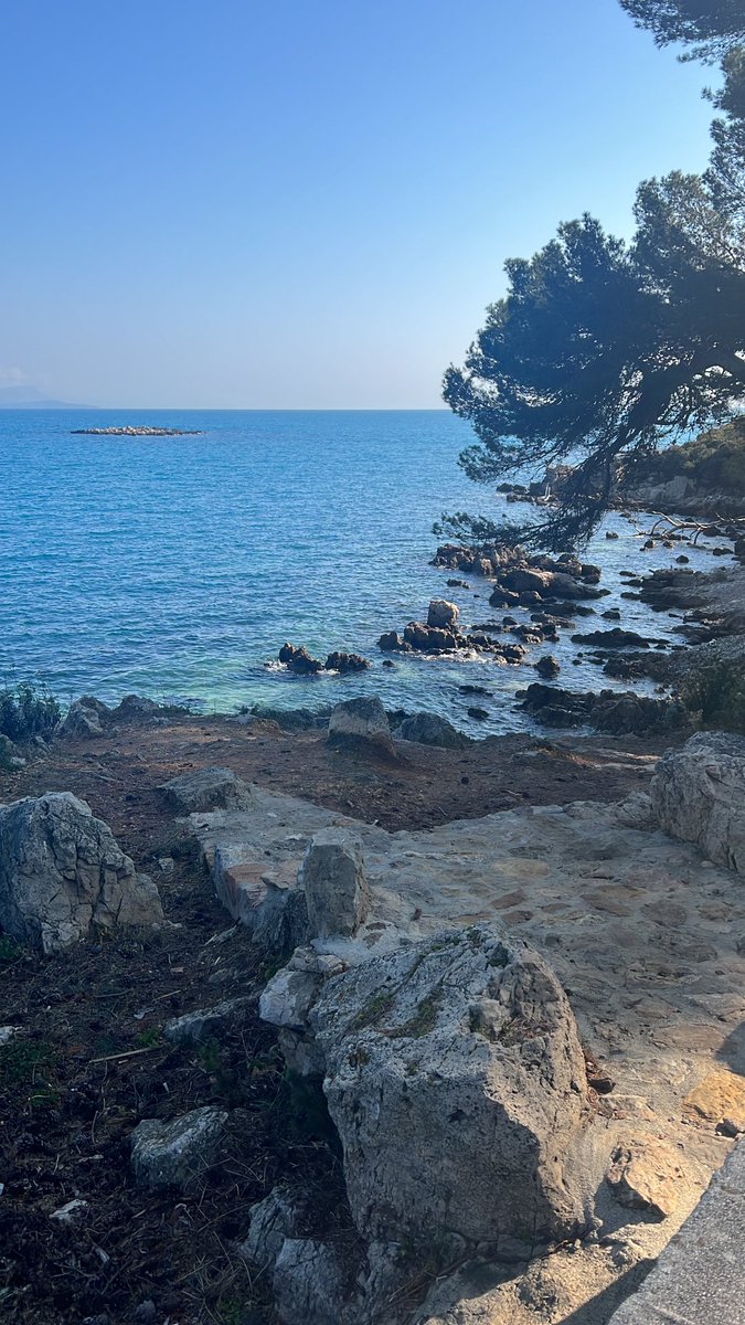 celiaimmo06's tweet image. #capdantibes 🏃🏼🌞