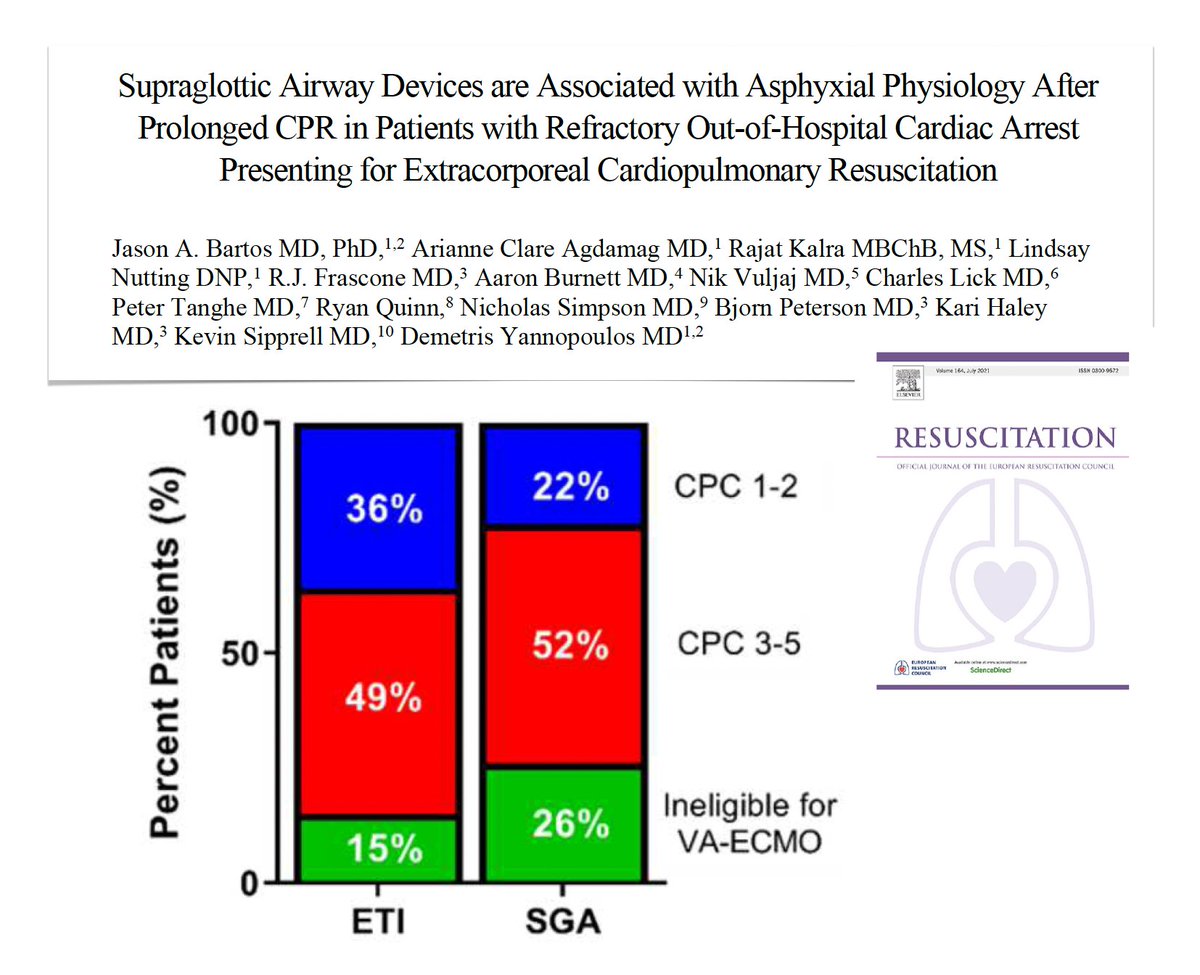 M Velia Antonini tweet media
