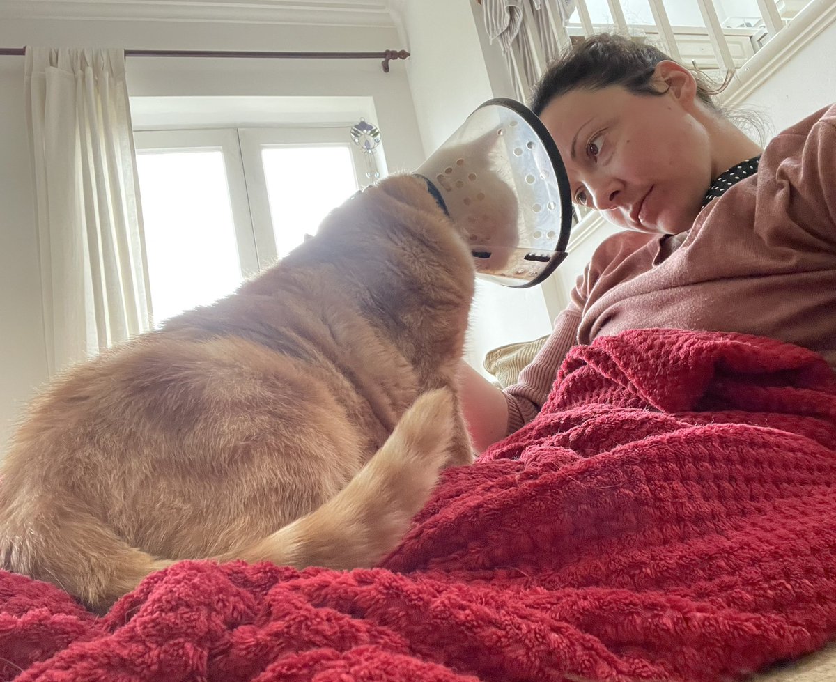 They say a dog is man’s best friend, but cats are definitely underrated