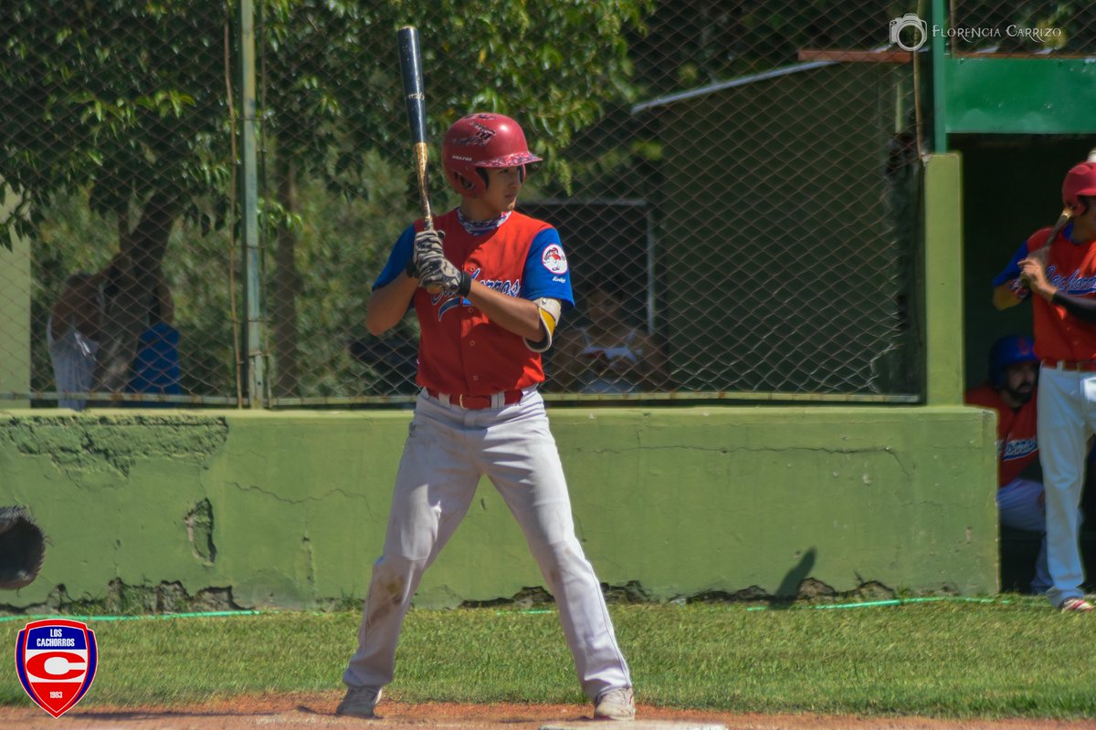Los Cachorros Salta Argentina tweet media