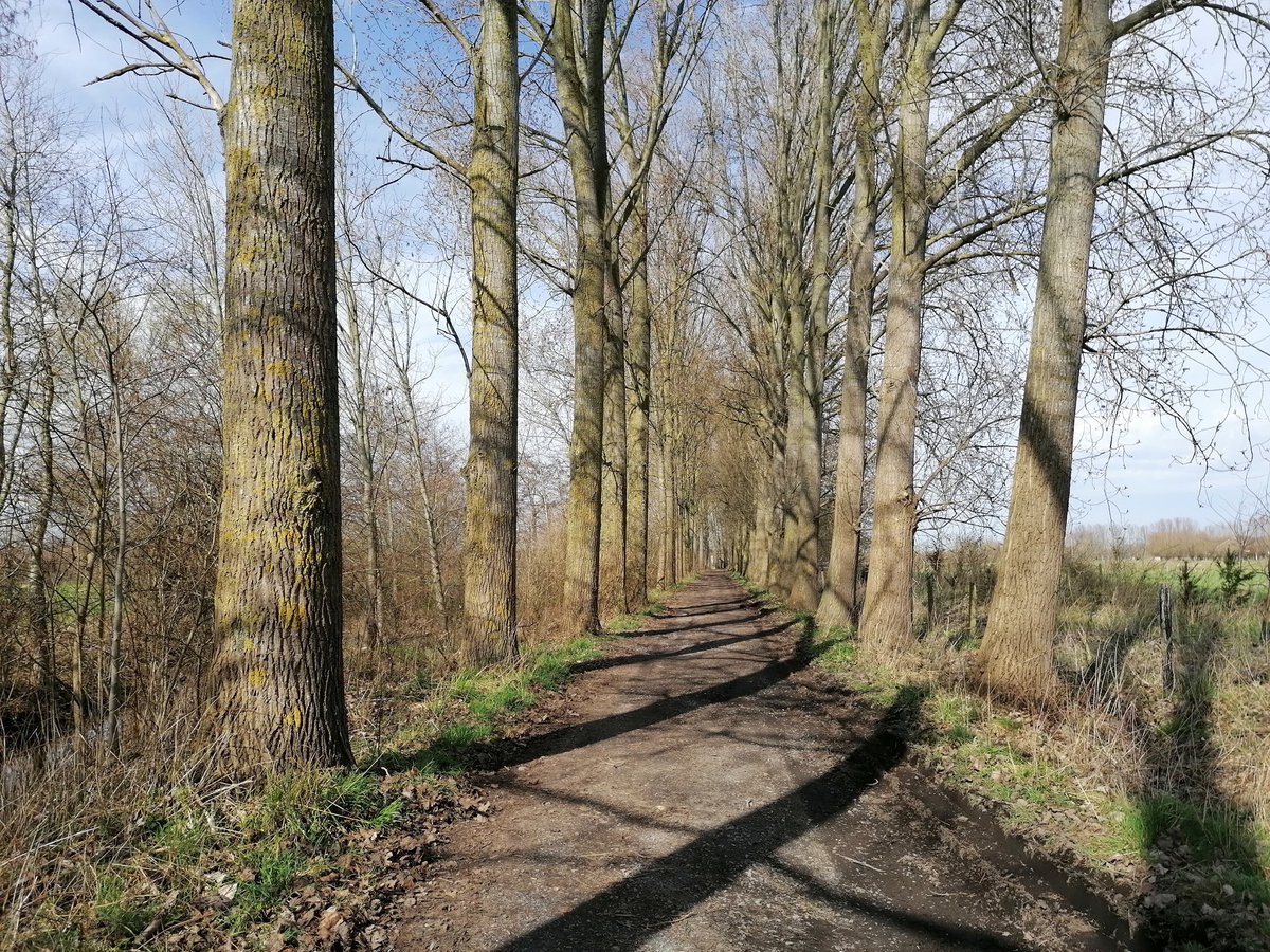 WandelblogDiRey's tweet photo. Wandelen door de #scheldemeersen tussen #Gavere en #Merelbeke en door enkele kleine dorpjes #semmerzake #vurste #melsen #schelderode

https://t.co/N852rPp4tX https://t.co/UCvKVTiyuf