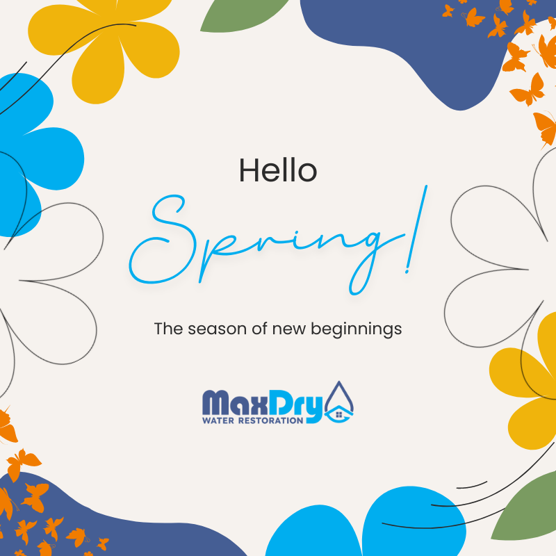 MaxDry_atl's tweet photo. Hello spring and welcome new beginnings! 🌼🦋

“The beginning 🌱 is always today.” - Mary Shelley

#springtime #spring #springisintheair #springfever #mondaymotivation #motivationalquote #motivation #newbeginnings #positivity #maxdry #restorationcompany #altanta #georgia https://t.co/FzC1Fyqhbt