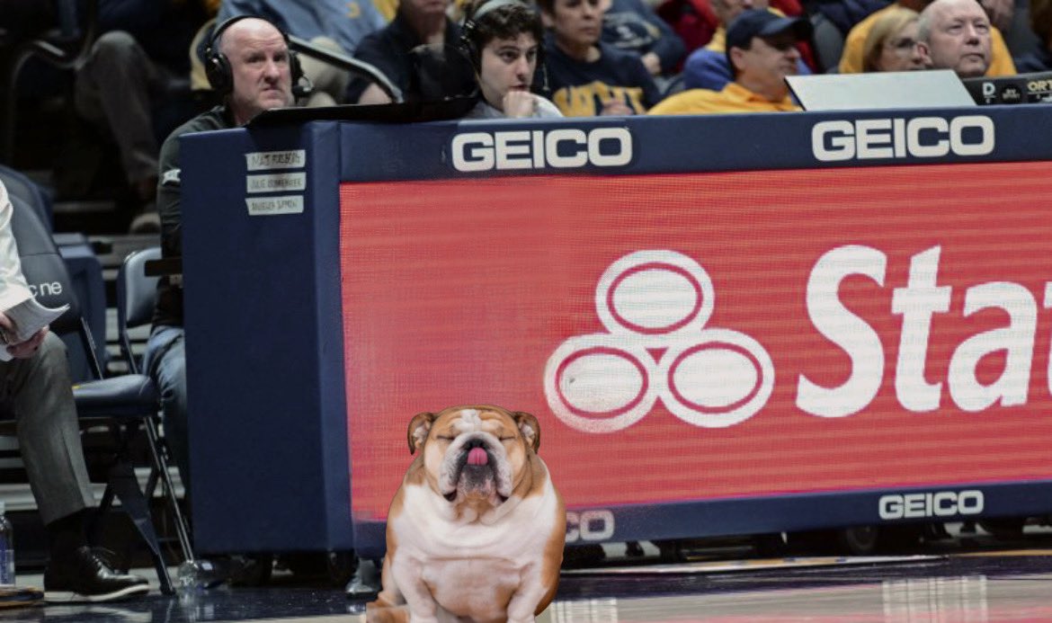 EerRational's tweet photo. West Virginia Women’s Basketball Head Coach Babydog https://t.co/IwnrtBWZte