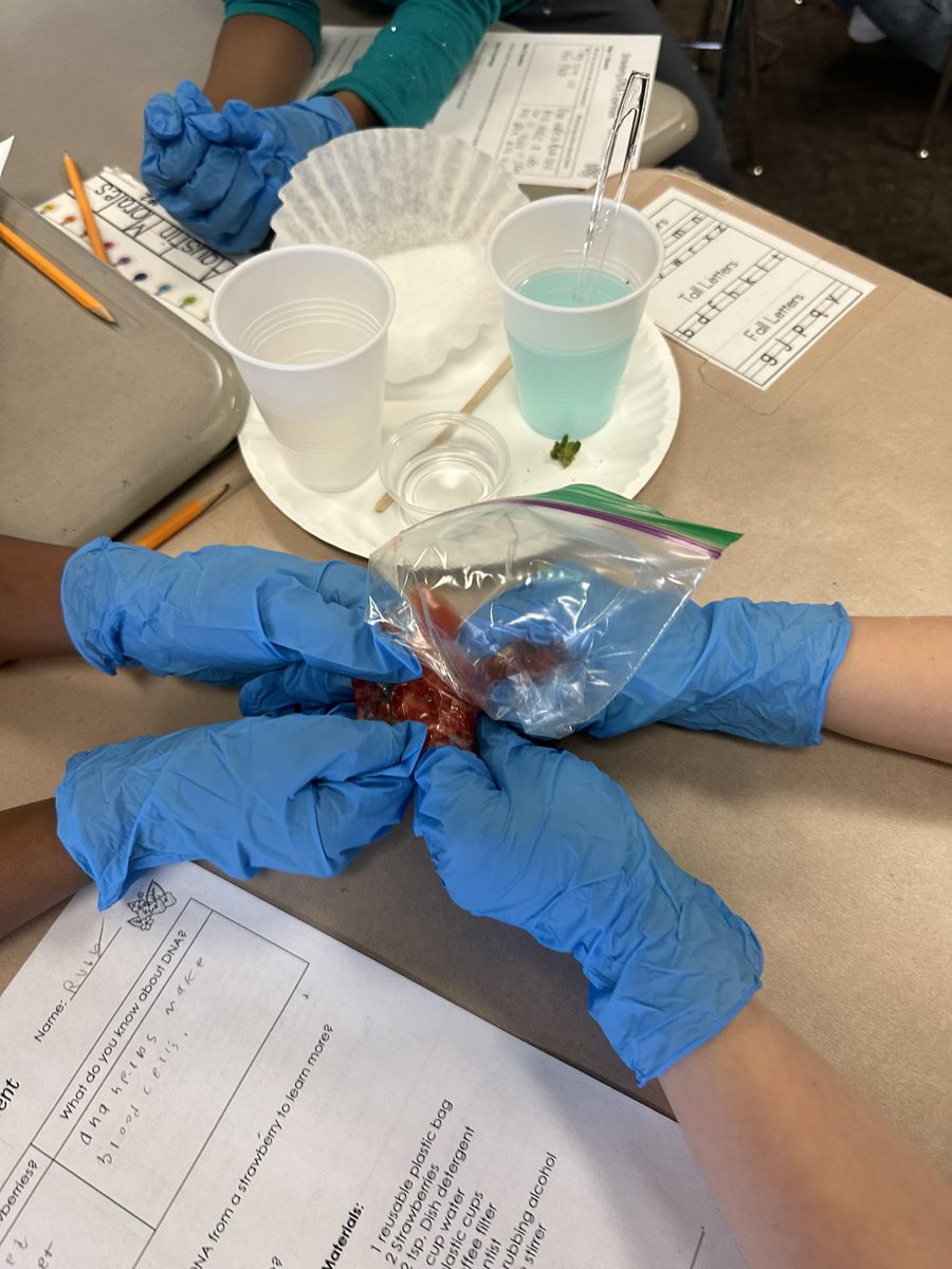 Cristina Lane tweet media