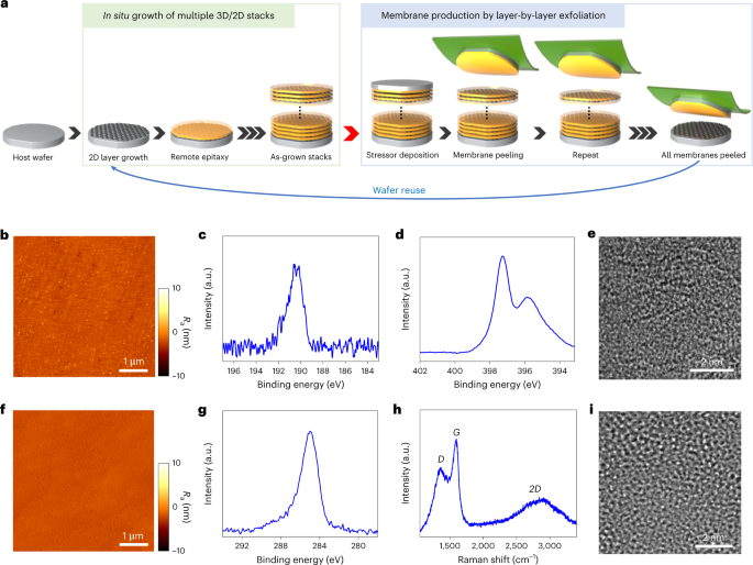NatureNano's tweet photo. New content online: High-throughput manufacturing of epitaxial membranes from a single wafer by 2D materials-based layer transfer process https://t.co/G5EEDOlqQ4 https://t.co/oppLt1Q2Ba