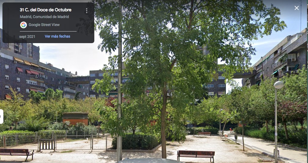 Tyrexito's tweet photo. Antes y después. Qué puta vergüenza de alcalde. #BastadearboricidiosenMadrid https://t.co/yJjuTUnMIW