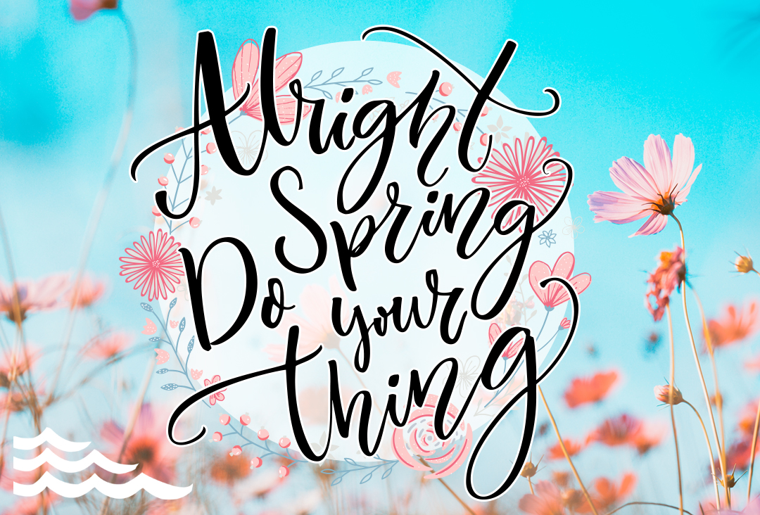 SeaCommFCU's tweet photo. Happy first day of SPRING! Give this a “like” if you’re excited for the nicer weather ahead! #spring #firstdayofspring #happyspring #springquote #goodbyewinter #hellospring https://t.co/q943xnhxLe