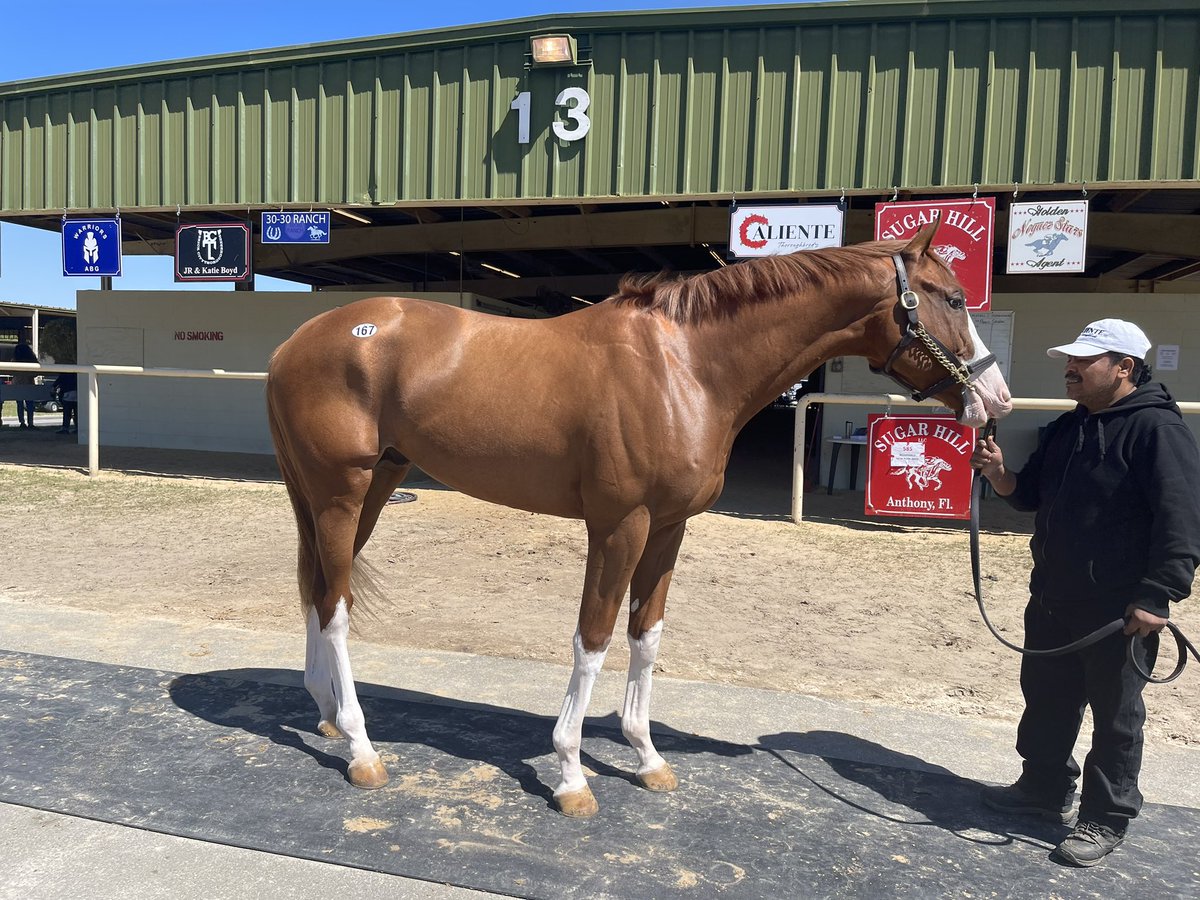 Crown's Way Racing on Twitter: