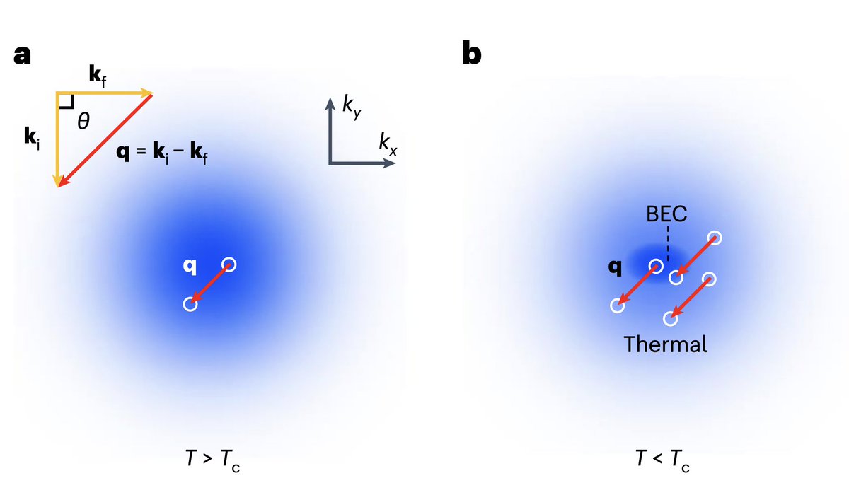 Atomic Physics (Past & Present) tweet media