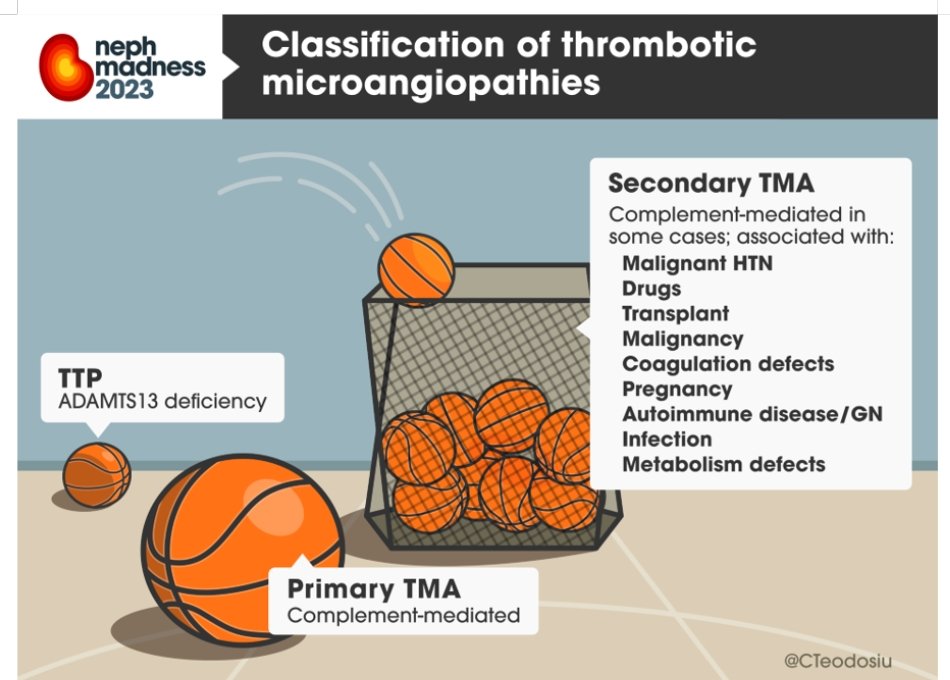 3/15
TMA is broadly defined as primary or secondary based on the pathogenesis:

VA by @CTeodosiu 🏀