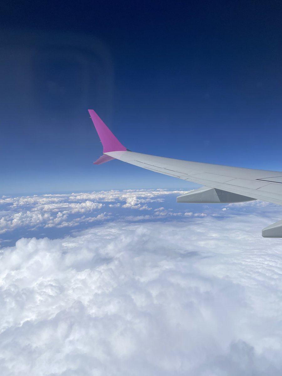 Javi Habana tweet media