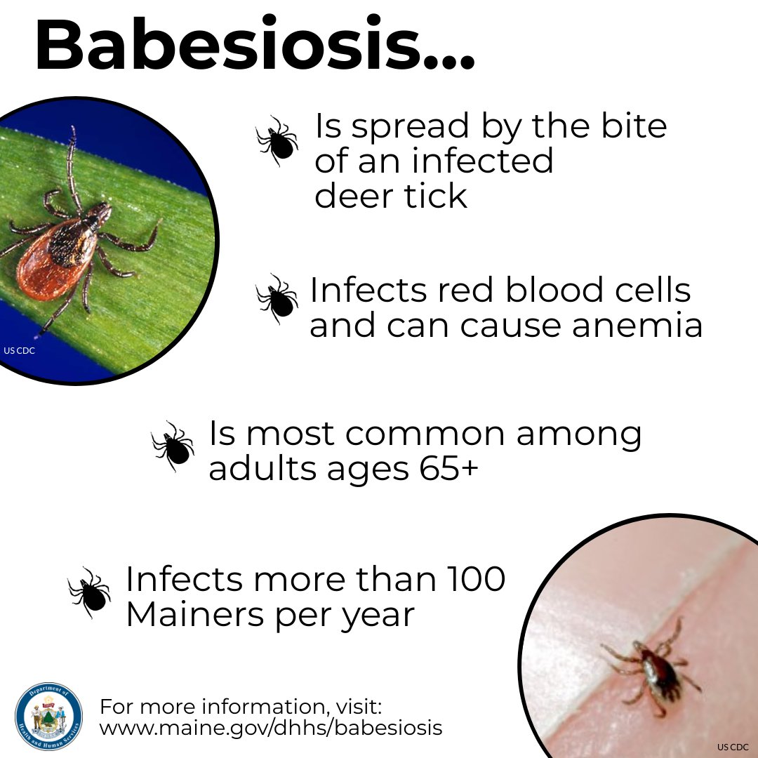 Maine CDC on Twitter "You may have heard about babesiosis on the news