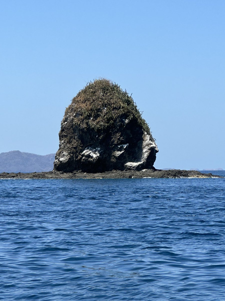 George Secor tweet media