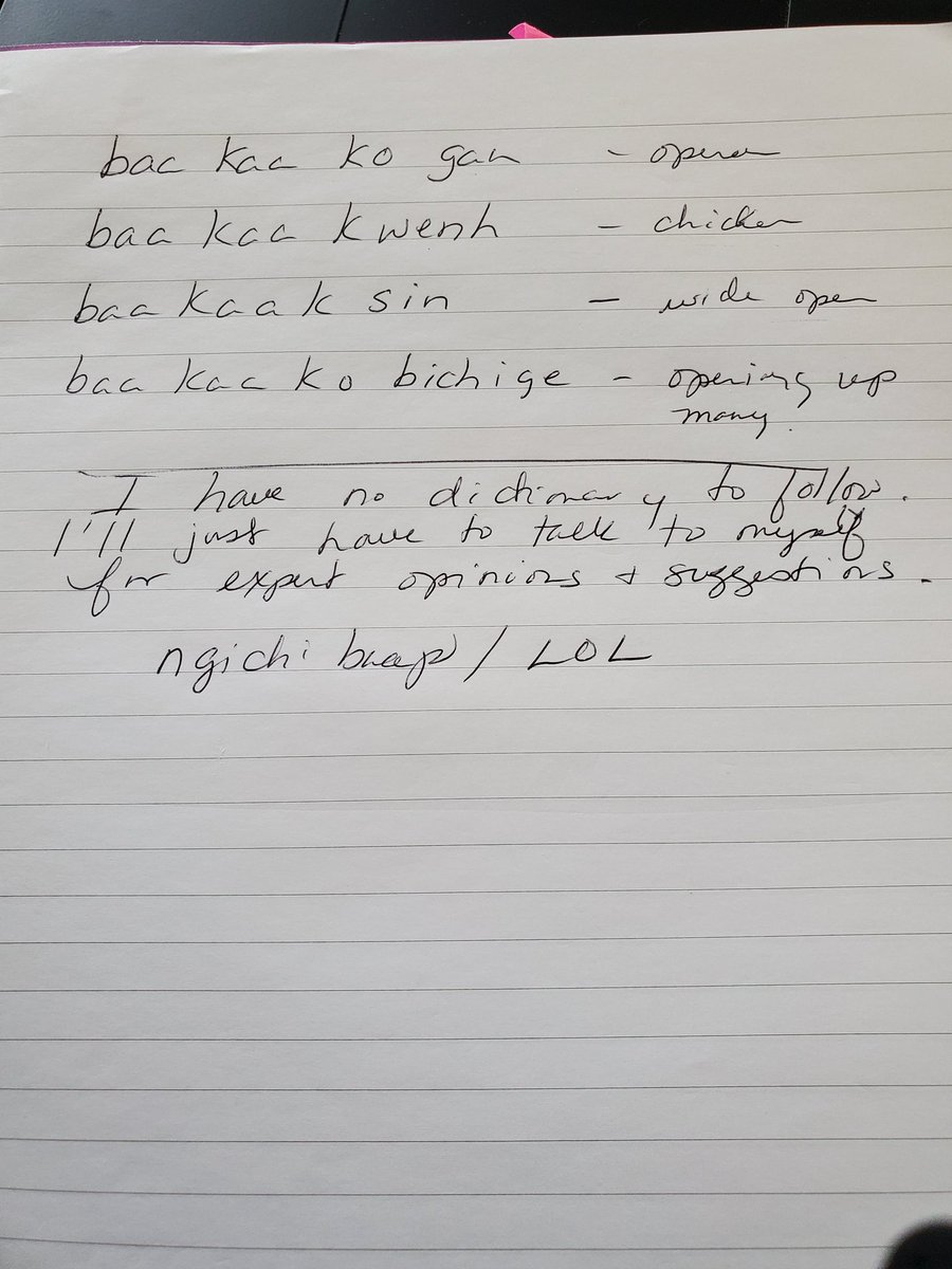Aaniish naa!/well!
A first speaker's dilemma.
Breaking up words to get to its roots for meaning.
1. Write word
2. Look at word
3. Think about it
4. Visual it
5. Connect it
6. Understand it
7. Learn to say
8. Use in situations
If you can just see, what I see.