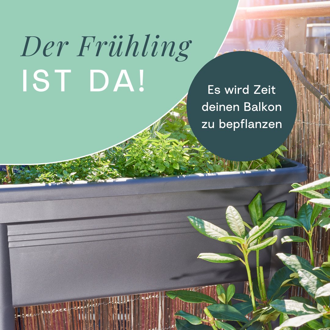 climaclic_de's tweet photo. Schon gewusst? Heute ist astronomischer #frühlingsanfang. ☀️ Das bedeutet, dass es Zeit wird deinen #balkon oder #garten zu bepflanzen. 🌷

👉 In diesem Post findest du die passenden Tipps und Tricks dazu.💚

#climaclic #klimalotterie #immereingewinner #klima #klimaschutz #natur https://t.co/WuxOyBKepc