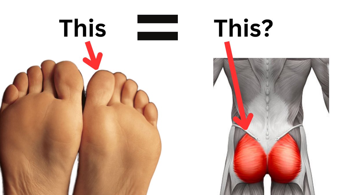There is one under-appreciated biomechanical aspect of glute activation that can give you better results.

And that thing is your big toe.

Here’s how your big toe can unlock your ability to use your glutes more efficiently.