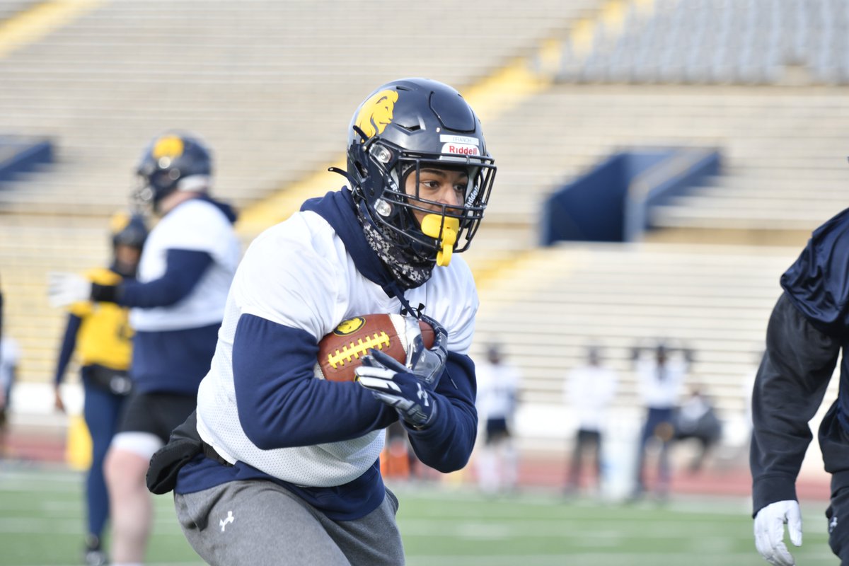 Lions_FB's tweet photo. Spring is in the air! #UnleashTheBeast https://t.co/qsVlFAzDKL