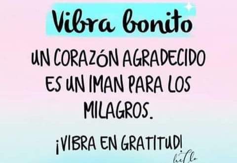 Vibra bonito!