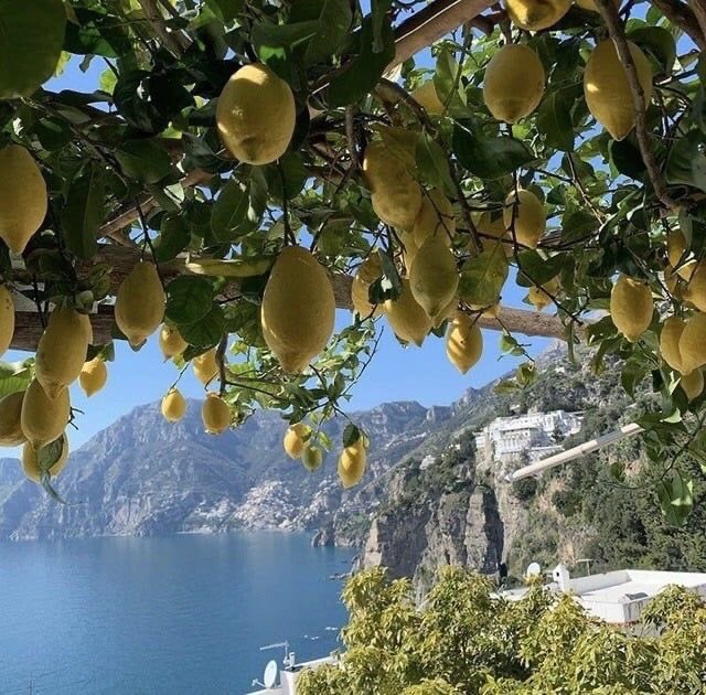 kaitlynscafe's tweet photo. summer in europe 🍋 https://t.co/UqMHtmbs5N
