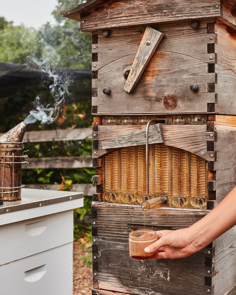 Sonoma.com (@sonoma) on Twitter photo We think Sonoma County honey is the bee's knees 🐝
Check out <a href="/jordanwinery/">Jordan Winery</a> to learn about the Flow Hive™️! 🍯 instagr.am/p/CqA7rG7MatK/ We think Sonoma County honey is the bee's knees 🐝
Check out <a href="/jordanwinery/">Jordan Winery</a> to learn about the Flow Hive™️! 🍯 instagr.am/p/CqA7rG7MatK/