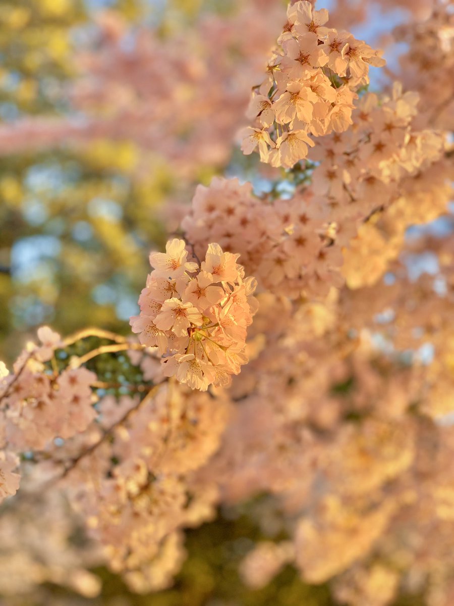 “Be not overcome of evil, but overcome evil with good.”

Romans 12:21

So important…

Now have a great week and go do the very best you can! ☺️ #MondayMusings