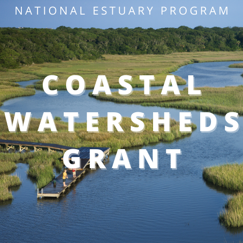 apestuary's tweet photo. Grant opportunity! The #NationalEstuaryProgram Coastal Watersheds Grant supports projects that address urgent and challenging issues threatening the well-being of our #estuaries of national significance, including @APSounds in NC/VA.
Details: https://t.co/zrD7SqlZvS https://t.co/S5zwuEl0Wb