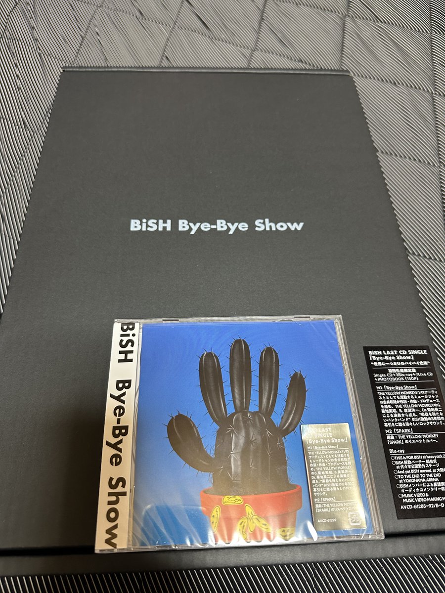 シルバーグレー サイズ Bye-Bye Show 超豪華版 おまけ直筆サイン