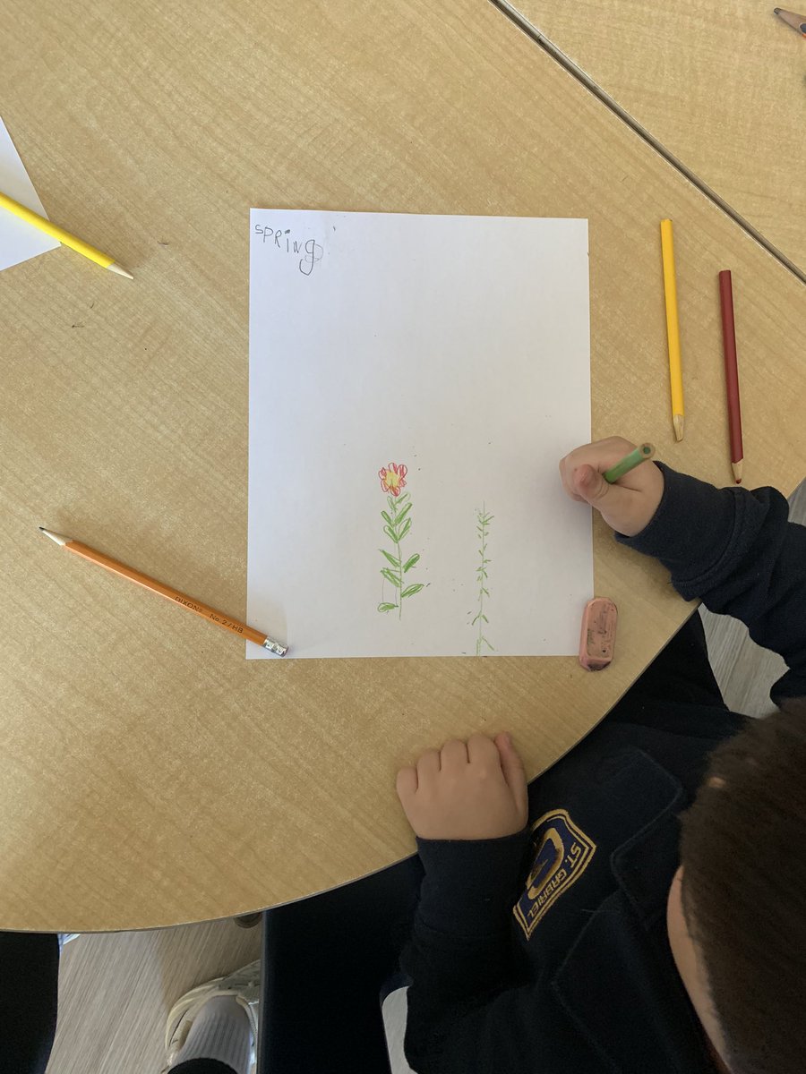 Ms. De Acetis tweet media