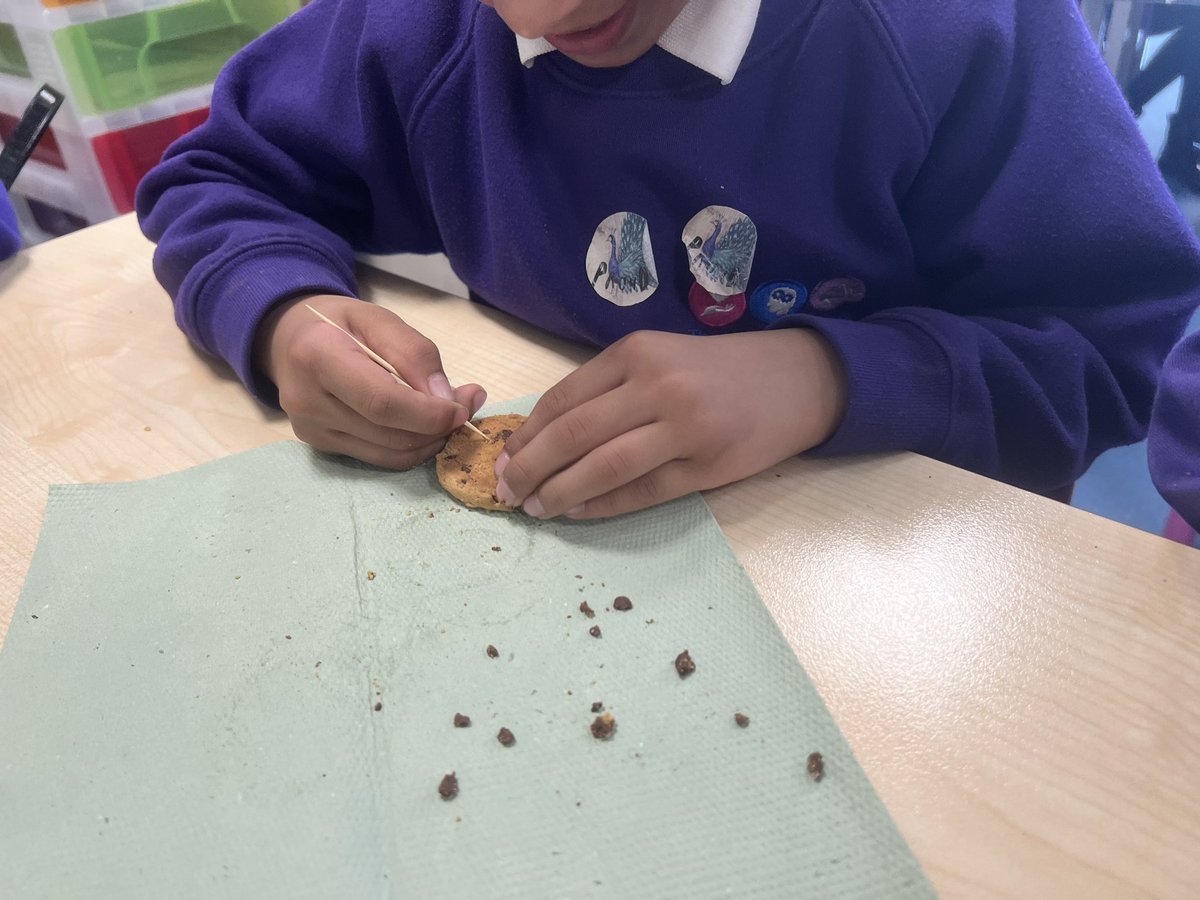 NatashaMrsSmith's tweet photo. Today we saw how difficult it was for Mary Anning to excavate her curiosities. We had to get the chocolate chips (fossils!) out of the cookie (the sand!) without breaking them. We saw how much resilience and perseverance Mary Anning must have had!  
No worksheets needed! 🙂 #ks1 https://t.co/d5ySDmE0xx