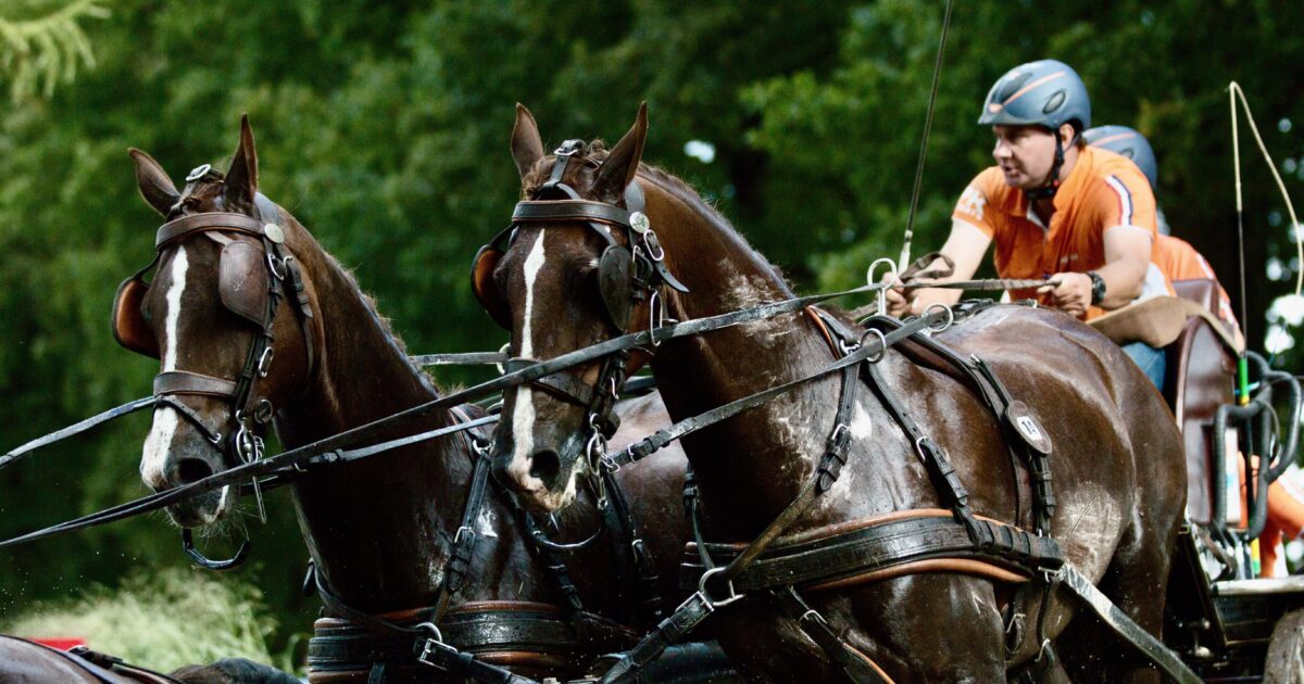 Carla Collewijn tweet media