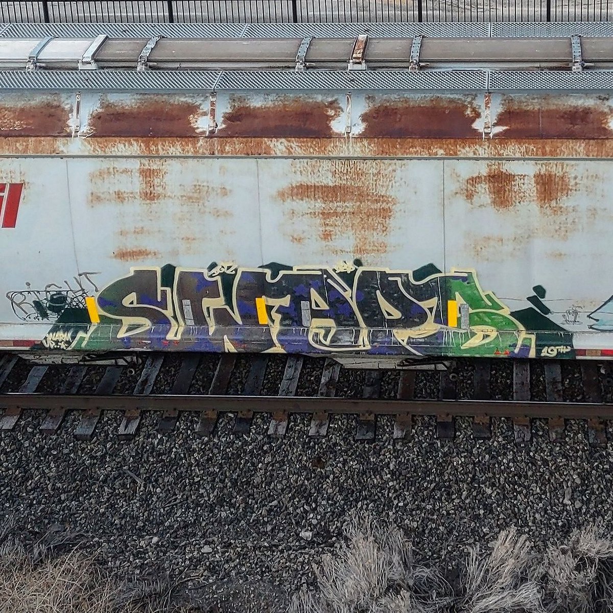 GraffitiExpress's tweet image. swaps
#kamloops #train #graffiti #art 
#swaps