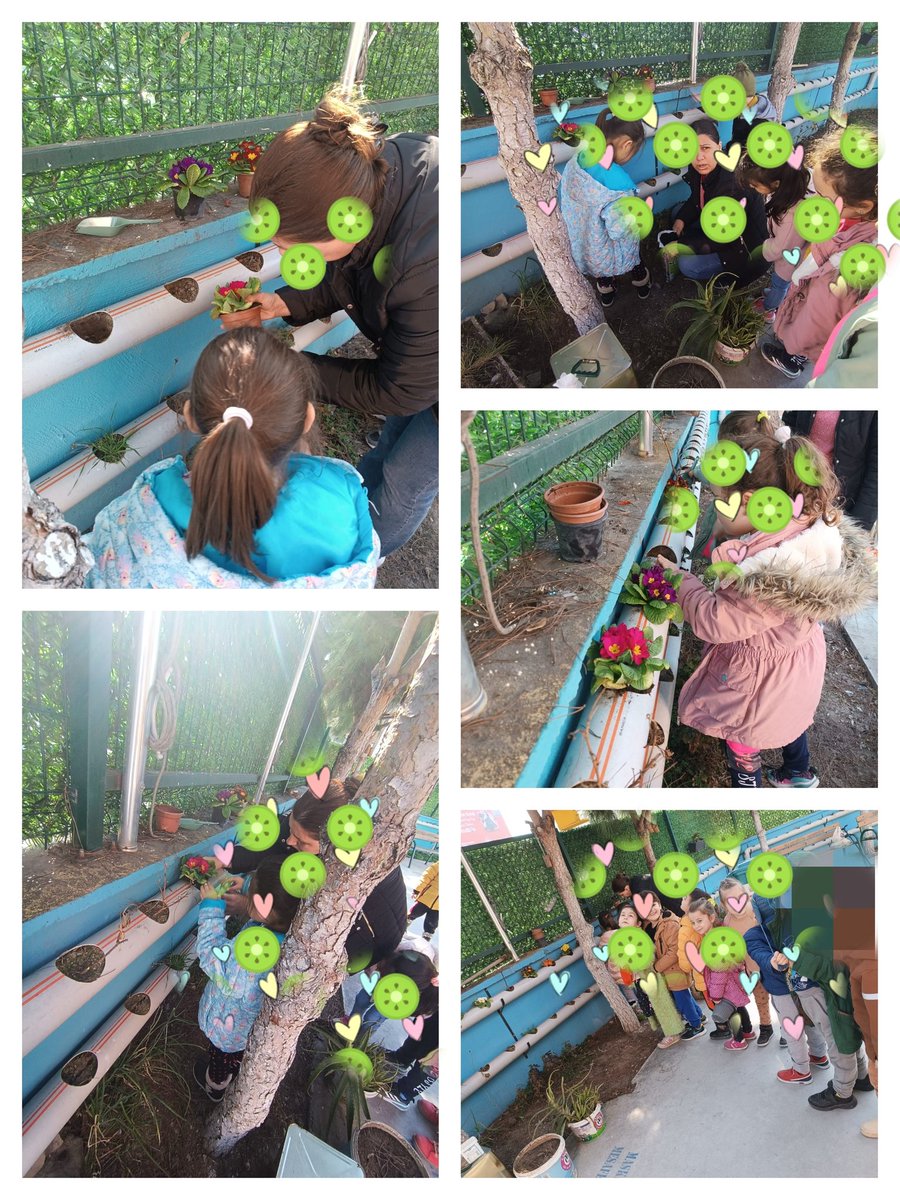 MathsNatures's tweet photo. The mathematics of nature, the arrangements made in our garden of our Erasmus project, we planted flowers
#NATURESMATHERASMUS+ https://t.co/PtXDRW8bn0