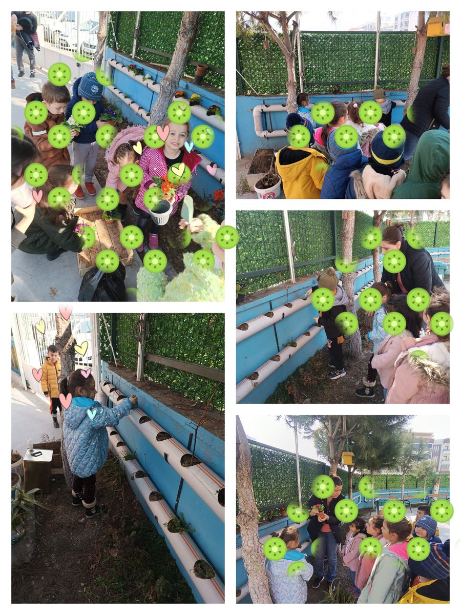 MathsNatures's tweet photo. The mathematics of nature, the arrangements made in our garden of our Erasmus project, we planted flowers
#NATURESMATHERASMUS+ https://t.co/PtXDRW8bn0