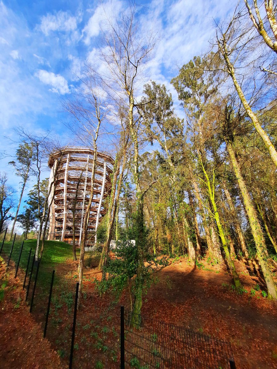 Treetop Walks UK & Ireland tweet media