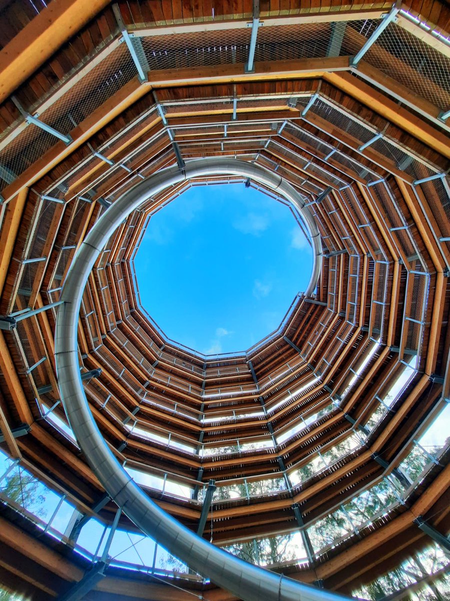 We are excited to announce that the majestic and beautiful Beyond the Trees Avondale is one of the Top 35 destinations in the world to visit, according to National Geographic UK! 🌳
Get your tickets now!🤩
beyondthetreesavondale.com

#BeyondtheTreesAvondal #irelandtravel