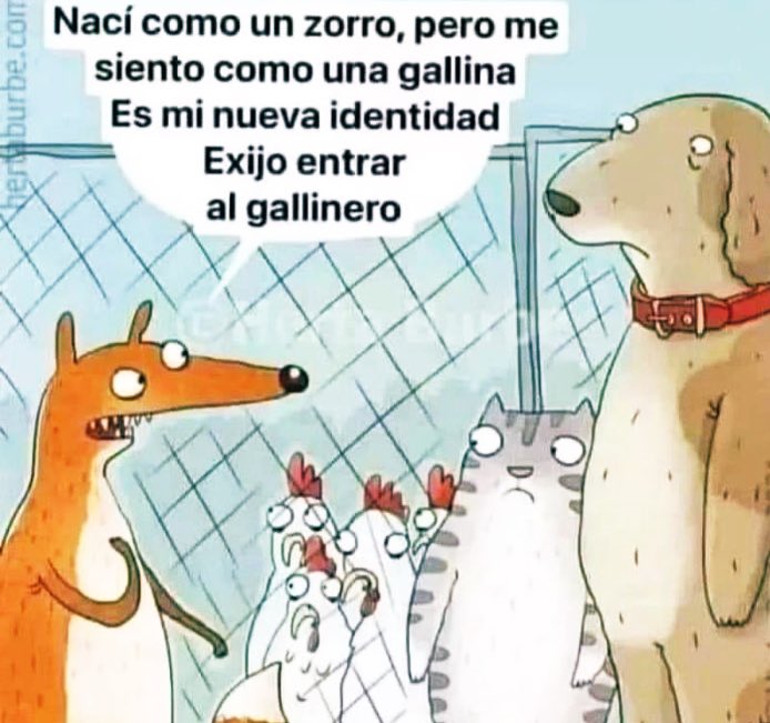 jcmanzewitsch1's tweet photo. Acerca de atletas trans en el deporte femenino 😳. https://t.co/nMsKBpqFyy