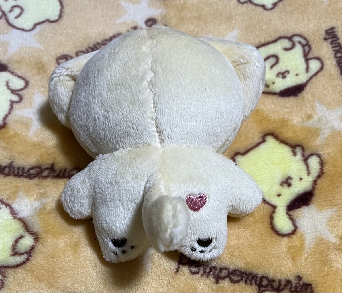 non_34_'s tweet photo. 🐶届きました💕
可愛すぎる🥺
後ろ姿まで可愛い💖

@bbobboboyz 님
너무귀여워요🥰
감사합니다🫶

@siel_sw_jpgo 様
記念すべき初めてのぬいちゃん♡*゜
ありがとうございました😊🫶 https://t.co/LmSLozQceI