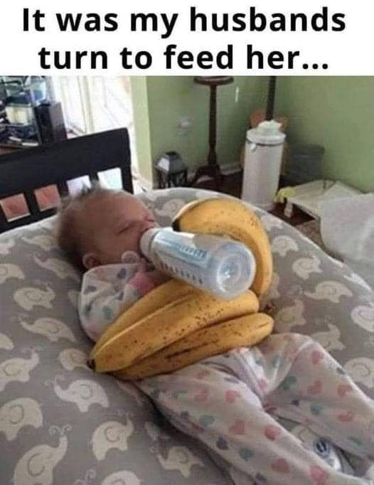 xzinft's tweet image. NFT bro's built diff: