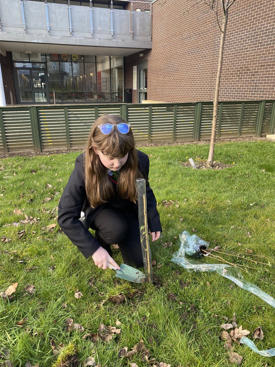 StockgrnMaths's tweet photo. ECO WARRIORS planting some trees to improve the air quality and attract wildlife 🌍🌳🌿🍃♻️  👏@WoodlandTrust @the_atlp https://t.co/QBSUAGMhAv