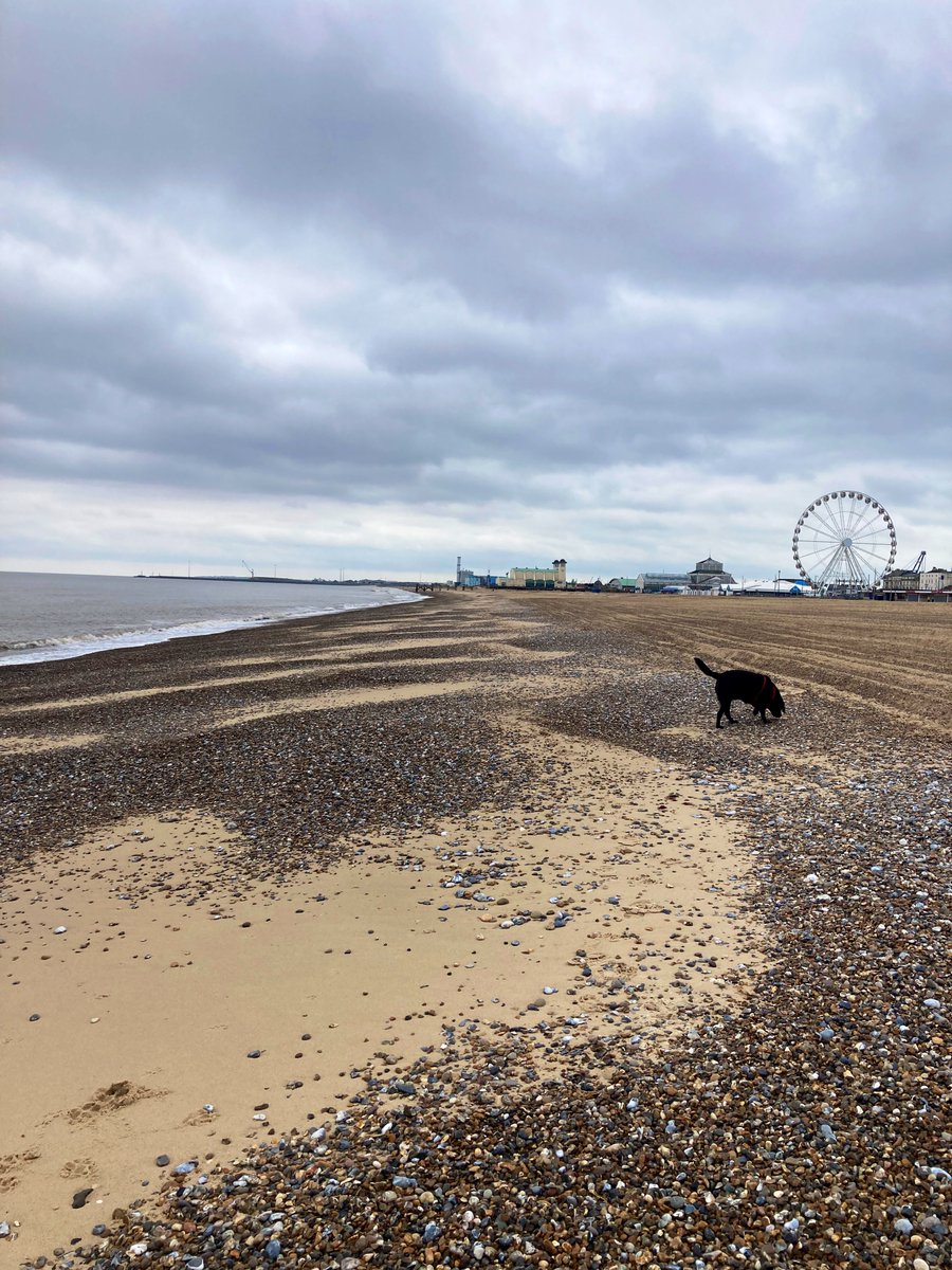 Collected the shopping the correct day this week 🛒🍉🥒🥓🥖 Then we had a walk and a #2MinuteBeachClean 🐾🐾🤎🚯