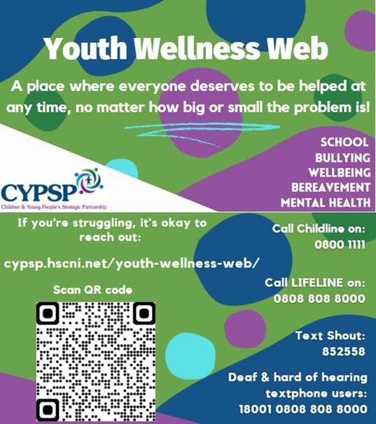 CYPSP in N.Ireland tweet media