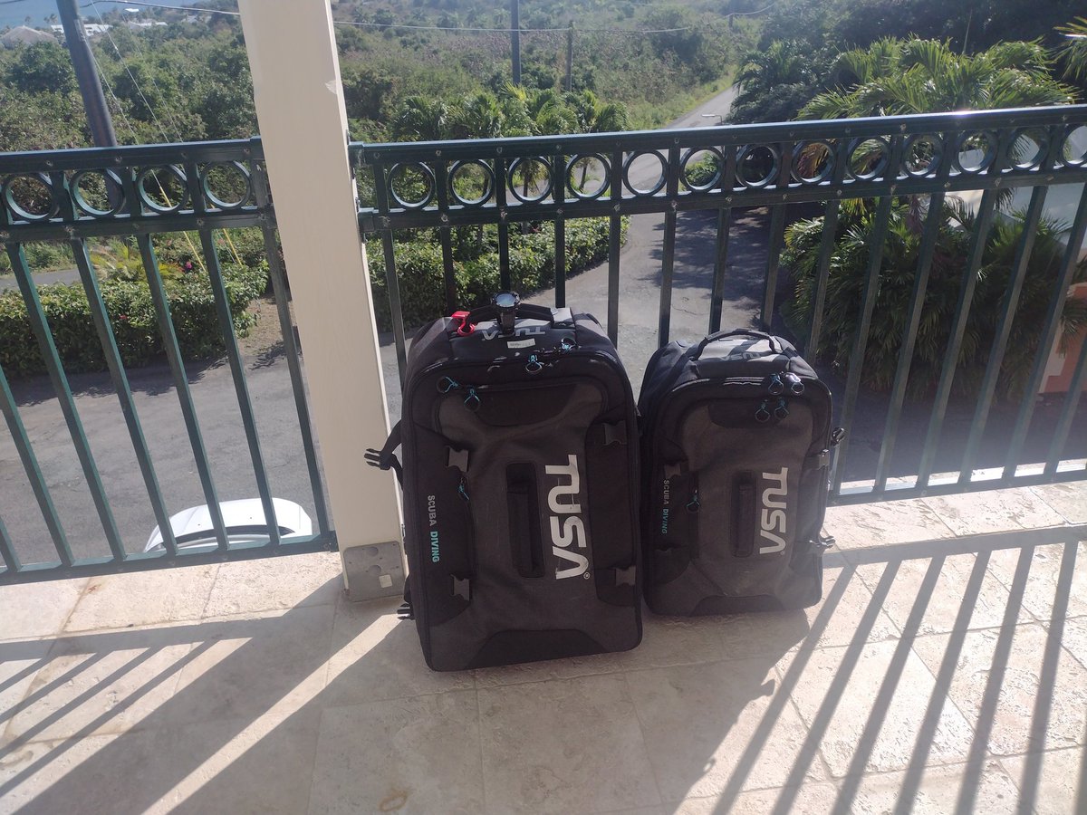 Happy 1st Day of Spring, it's time to pack your dive bag and go diving!