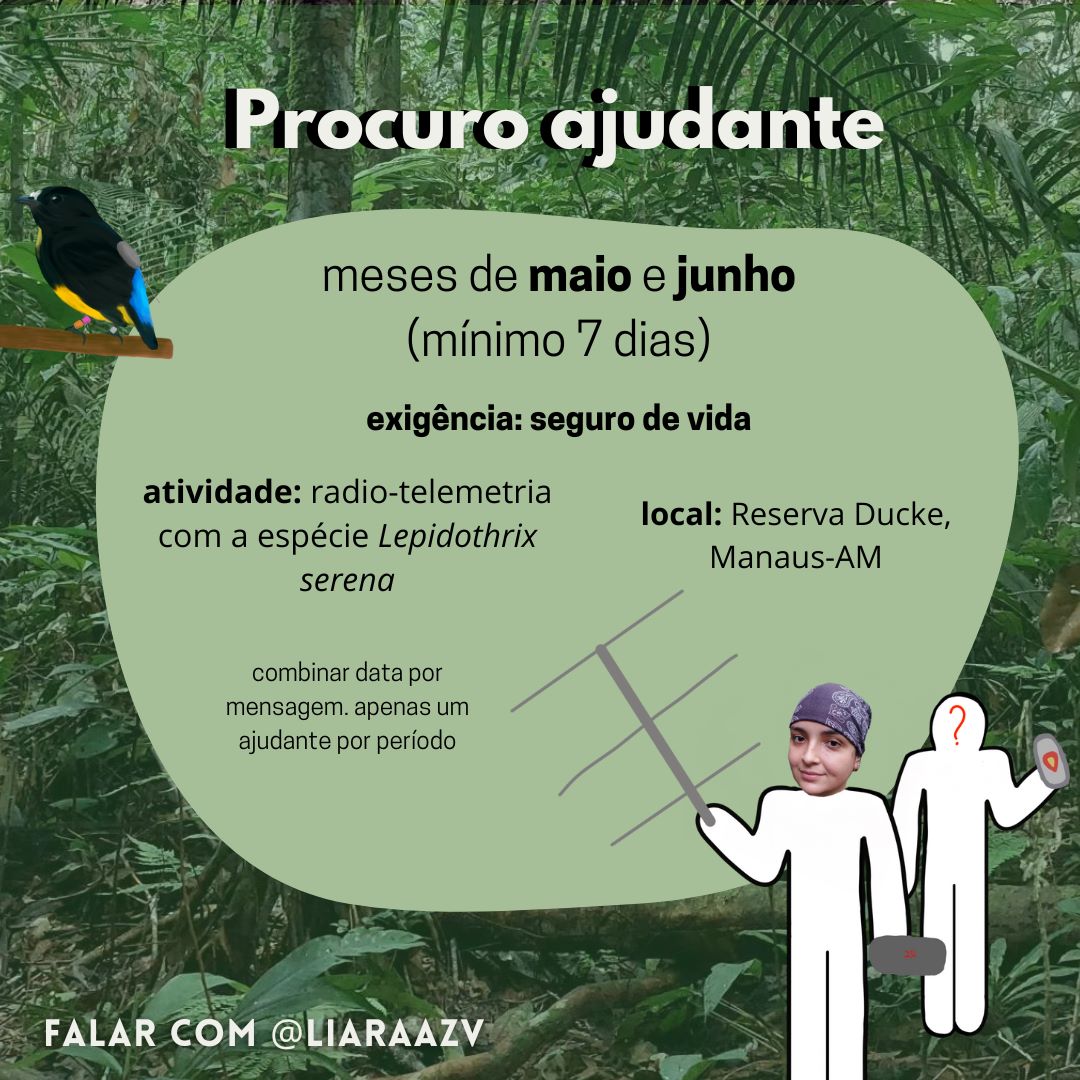liaraazv's tweet photo. Me ajudem a terminar meu mestrado 🥺🥺 preciso de ajudante para ir para campo colocar rádio nos meus bichos. Uma pessoa só por período. Tem que ter seguro de vida pra entrar na reserva. https://t.co/kTiB989ChK