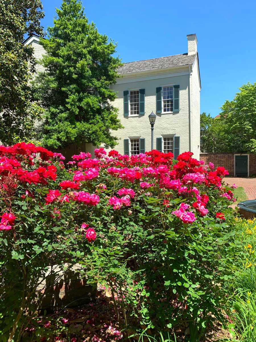 Happy spring from Columbia! Tell us your favorite spring activity in #ColumbiaTN 👇🌸